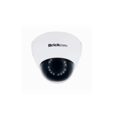 BRICKCOM FIXED DOME FD100AE