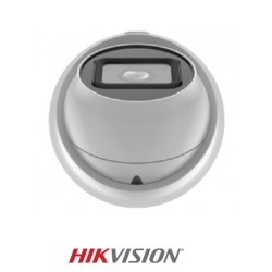 Cámara Minidomo IP de 4MP Tecnología WDR y H265