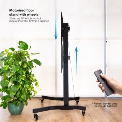 Soporte Suelo TOOQ Ruedas Eléctrico Lux 55100