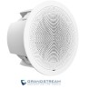 Altavoz GrandStream GSCT3506V2 30 vatios 1 Vía