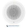 Altavoz GrandStream GSCT3506V2 30 vatios 1 Vía