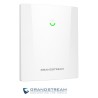 Punto de Acceso Grandstream GWN7660ELR Outdoor