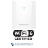 Punto de Acceso Grandstream GWN7660ELR Outdoor