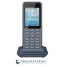 Terminal Inalámbrico WiFI6 Grandstream WP836 IP69K
