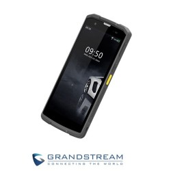 Terminal Inalámbrico WiFI6 Grandstream WP856 con E
