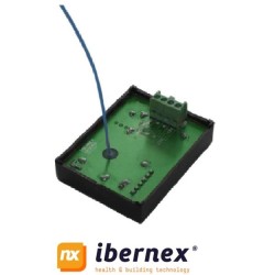 Ibernex