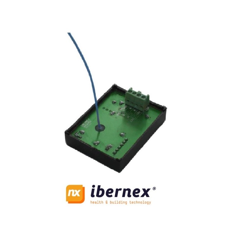 Ibernex