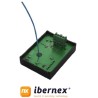 Ibernex