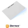 Ibernex
