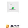 Ibernex