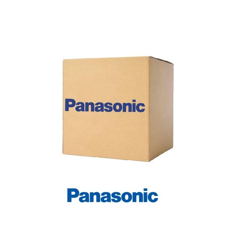 Panasonic