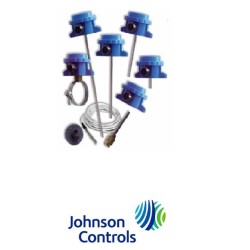 Johnson